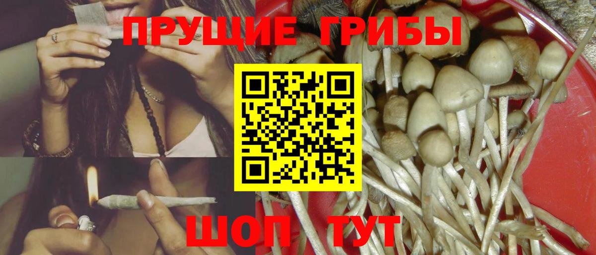 Галлюциногенные грибы GOLDEN TEACHER Феодосия
